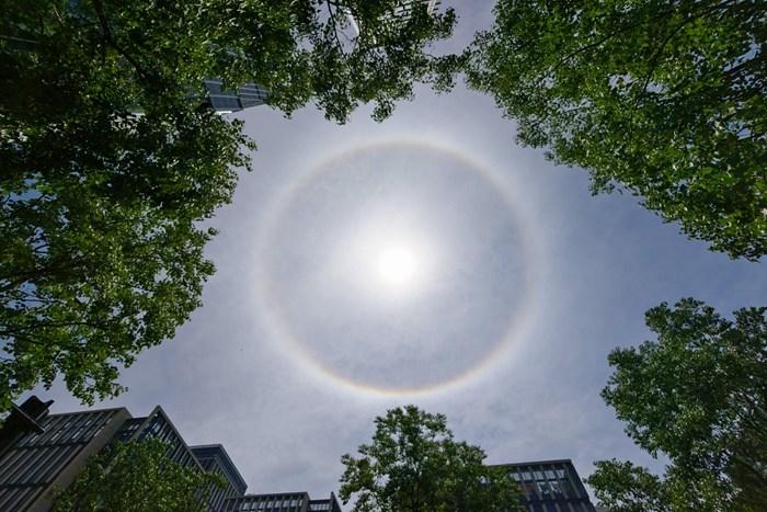 上海天空現巨大日暈 光圈完整清晰
