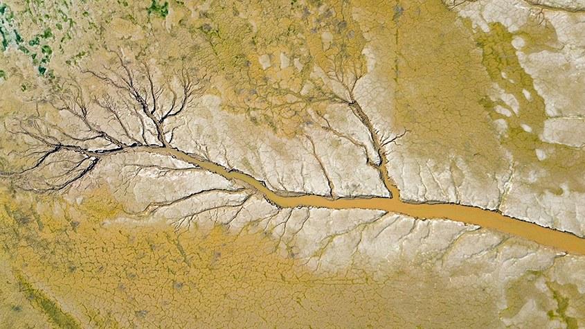 黃河河床現巨幅“水粉沙畫”