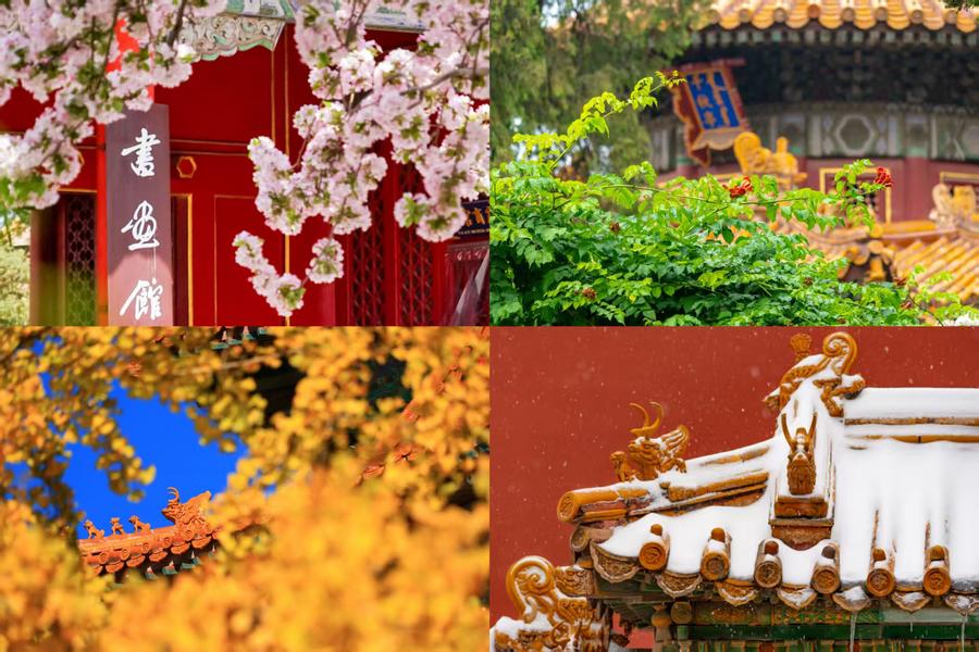 百歲快樂！一組圖領(lǐng)略故宮四季流轉(zhuǎn)之美