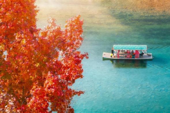 浙江永嘉：楠溪江畔紅楓艷 色彩斑斕美如畫