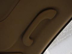 ������ÿ����nϵ܇���w�Forte�����