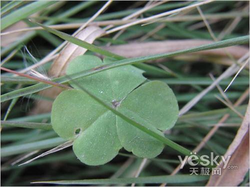 ���������Ҹ� ������H���Ô��a���C���]