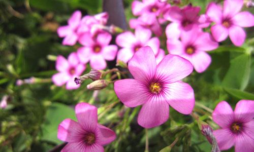 ���ܔ�(sh��)�a���C�Ј� ���M���P(gu��n)ע��ǰʮ��C