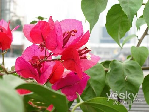 ����߀��Ϧꖼt ʮһ�����������C�xُ���]