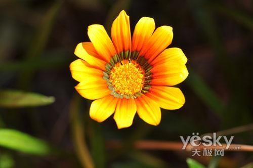 ʮһ���Ό��I֮�x �Ј����T�η����C���]