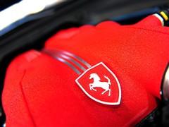 ��܇֮�� ������ ������california 09�� ������