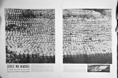 ����İ׹��������޷���